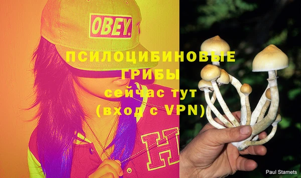 крисы Медногорск