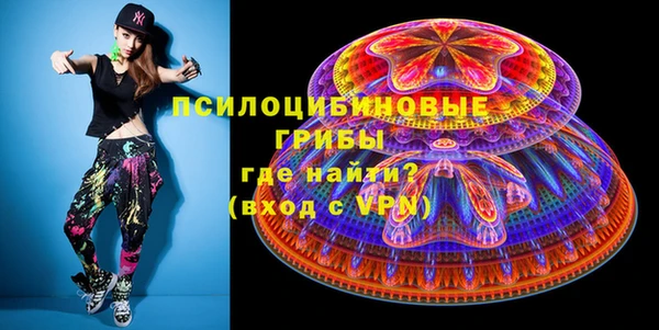 гашик Мегион